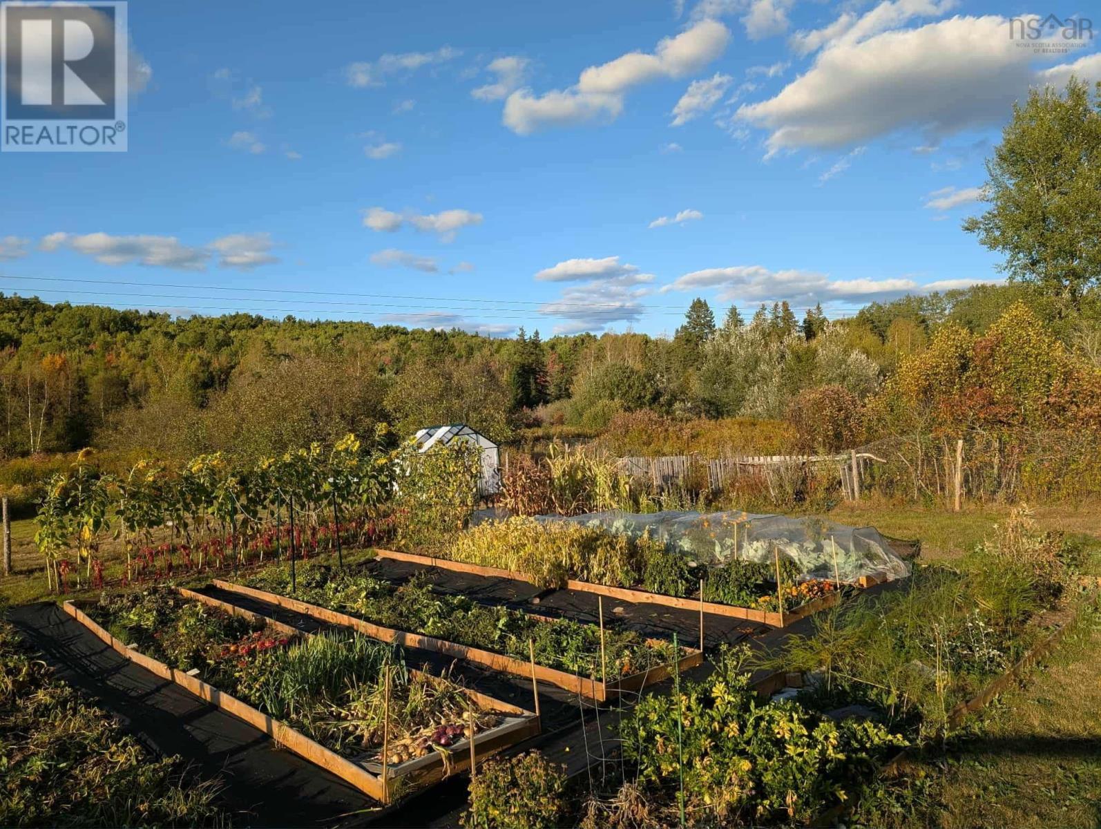 1329 Highway 321, river philip, Nova Scotia