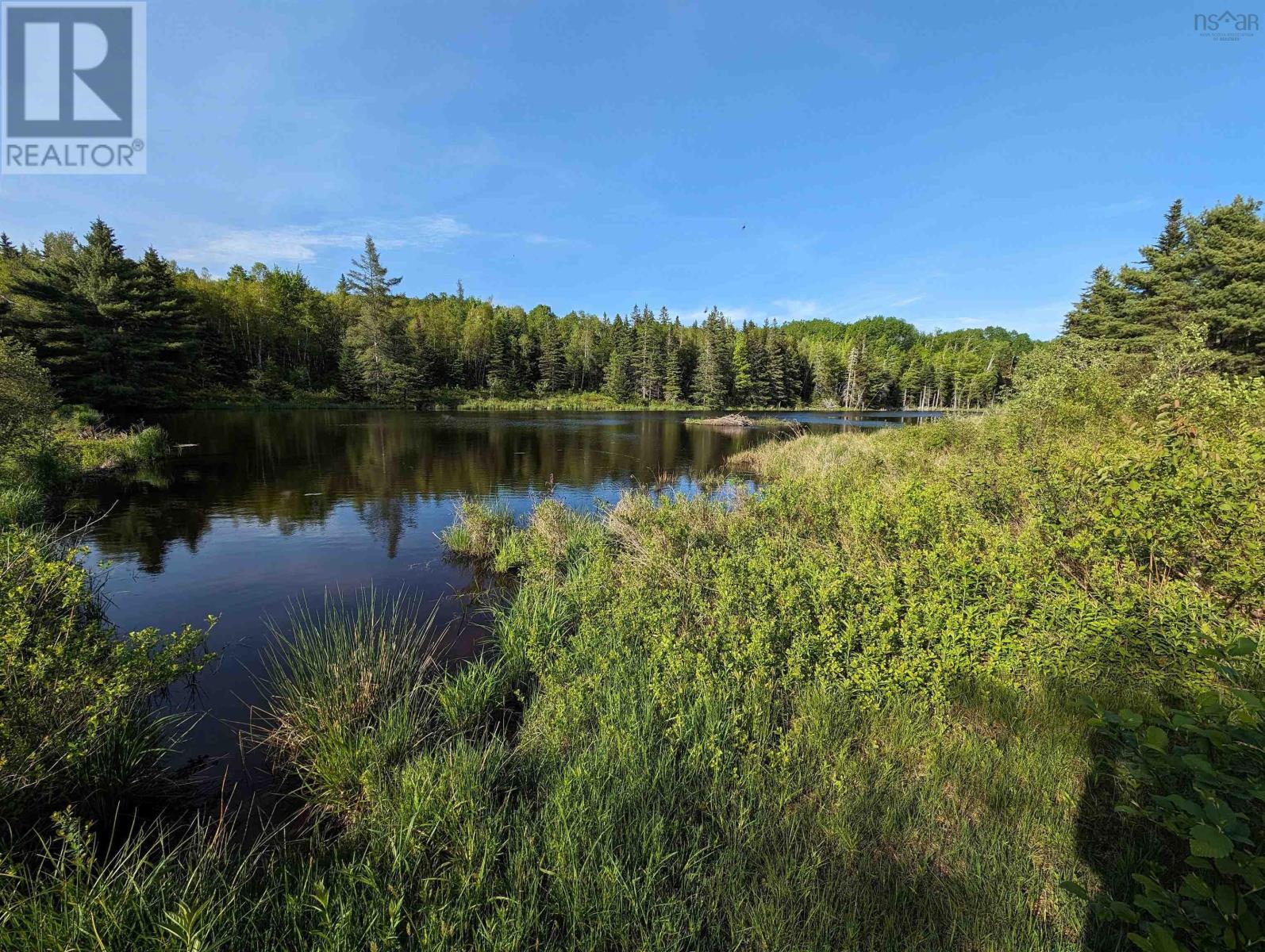 1329 Highway 321, River Philip, Nova Scotia  B0M 1V0 - Photo 38 - 202600163