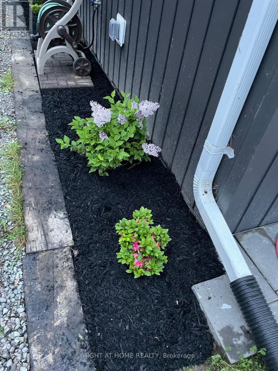 54 Blue Jay Boulevard, Georgina (Virginia), Ontario  L0E 1N0 - Photo 30 - N12786540