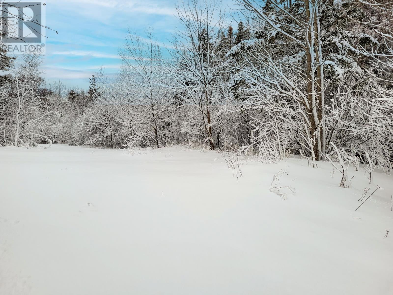 2999 Shore Road, Litchfield, Nova Scotia  B0S 1A0 - Photo 7 - 202602656