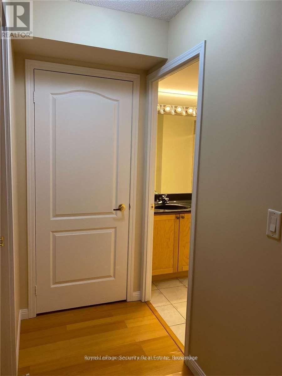 101 - 18 Stafford Street, Toronto, Ontario  M5V 3W4 - Photo 10 - C12786594