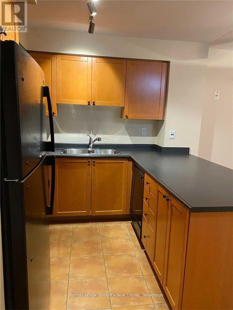 101 - 18 Stafford Street, Toronto, Ontario  M5V 3W4 - Photo 3 - C12786594