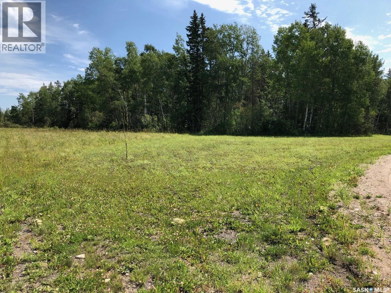 Turnbull/reynolds, Hudson Bay Rm No. 394, Saskatchewan  S0E 0Y0 - Photo 1 - SK028530