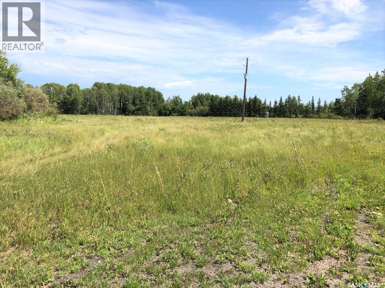 Turnbull/reynolds, Hudson Bay Rm No. 394, Saskatchewan  S0E 0Y0 - Photo 2 - SK028530
