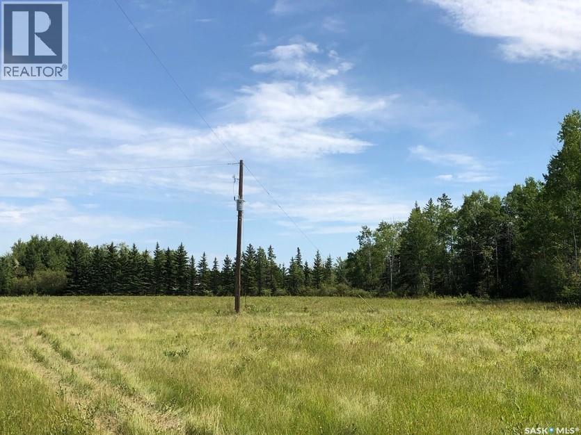 Turnbull/reynolds, Hudson Bay Rm No. 394, Saskatchewan  S0E 0Y0 - Photo 3 - SK028530