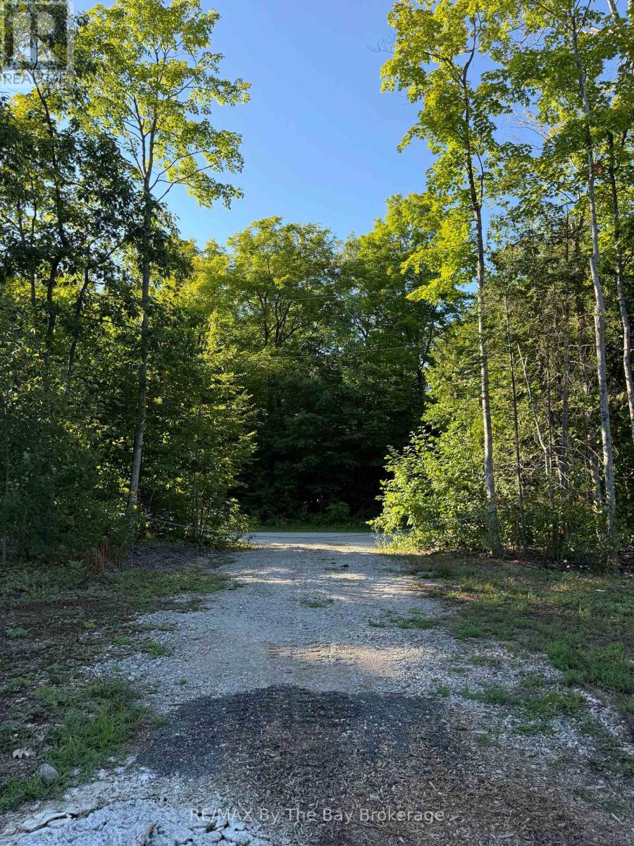 909 17 Concession, Tiny, Ontario L0L 2J0 - Photo 2 - S12358366