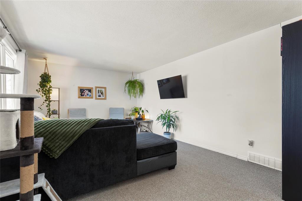 564 Cote Avenue, St Pierre-Jolys, Manitoba  R0A 1V0 - Photo 10 - 202602573