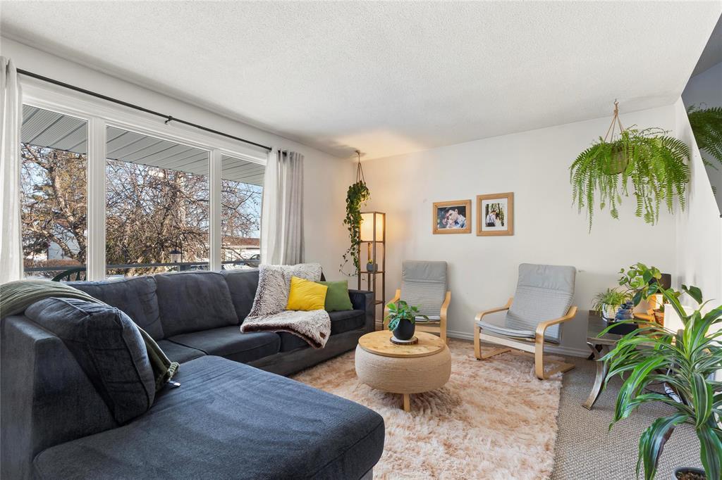 564 Cote Avenue, St Pierre-Jolys, Manitoba  R0A 1V0 - Photo 11 - 202602573