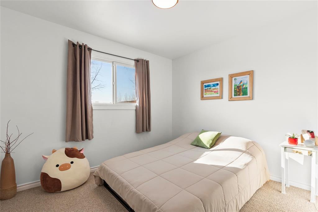 564 Cote Avenue, St Pierre-Jolys, Manitoba  R0A 1V0 - Photo 16 - 202602573