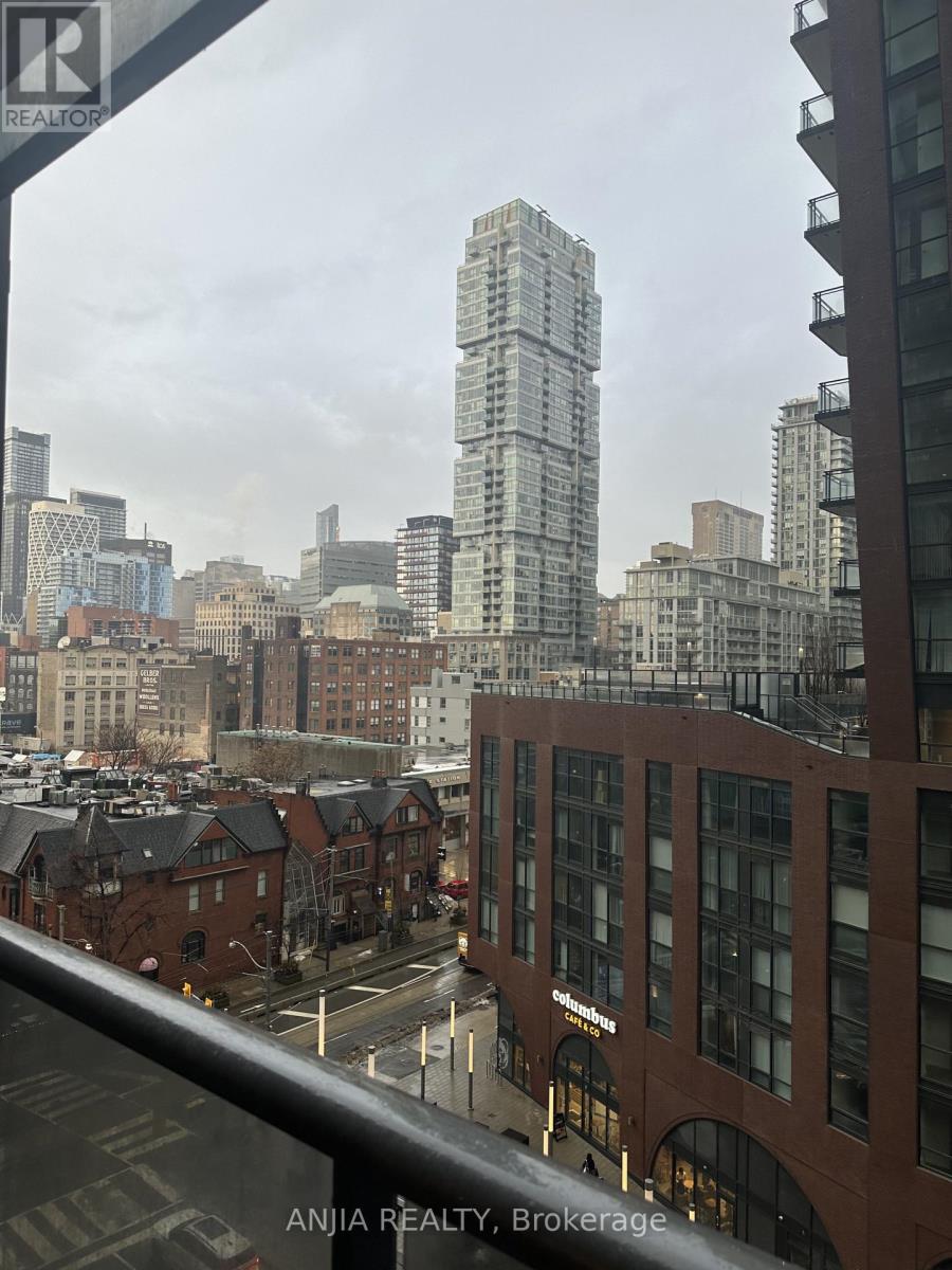 808 - 295 Adelaide Street W, Toronto, Ontario  M5V 0L4 - Photo 11 - C12787106