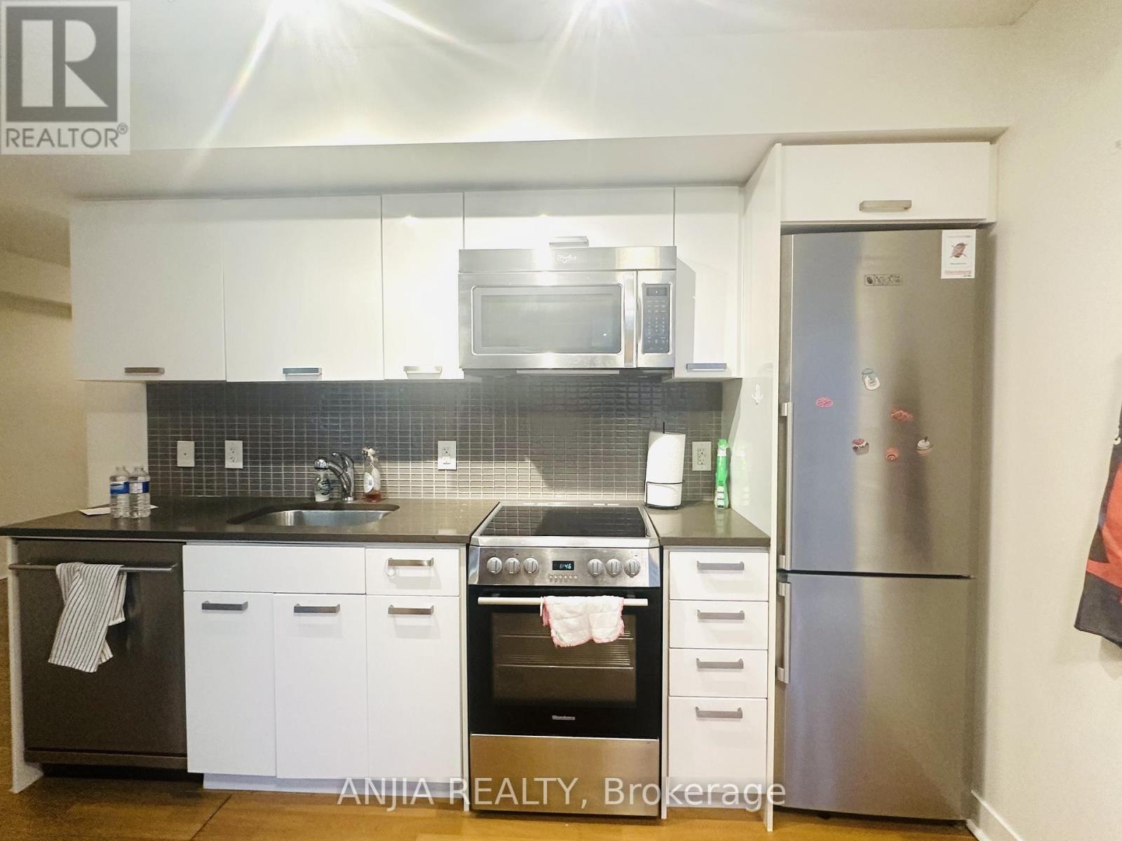 808 - 295 Adelaide Street W, Toronto, Ontario  M5V 0L4 - Photo 3 - C12787106