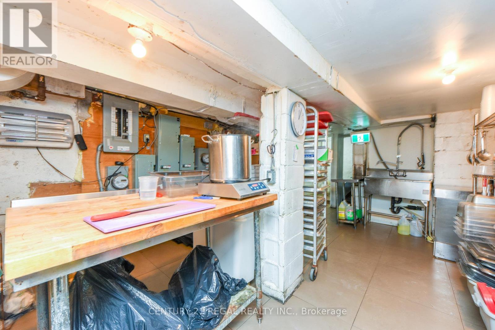 209 Dovercourt Rd. Road, Toronto (Trinity-Bellwoods), Ontario  M6J 3C7 - Photo 20 - C12787196