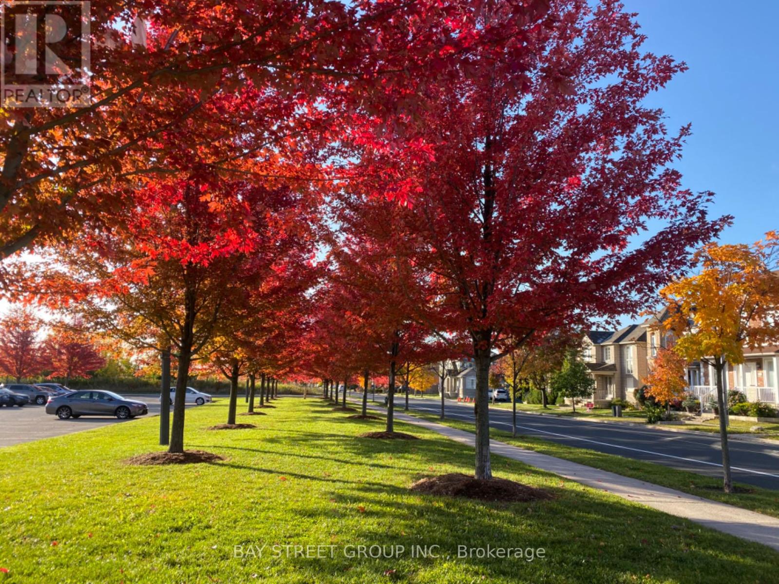 77 Weatherill Road, Markham (Berczy), Ontario  L6C 2P5 - Photo 46 - N12787128