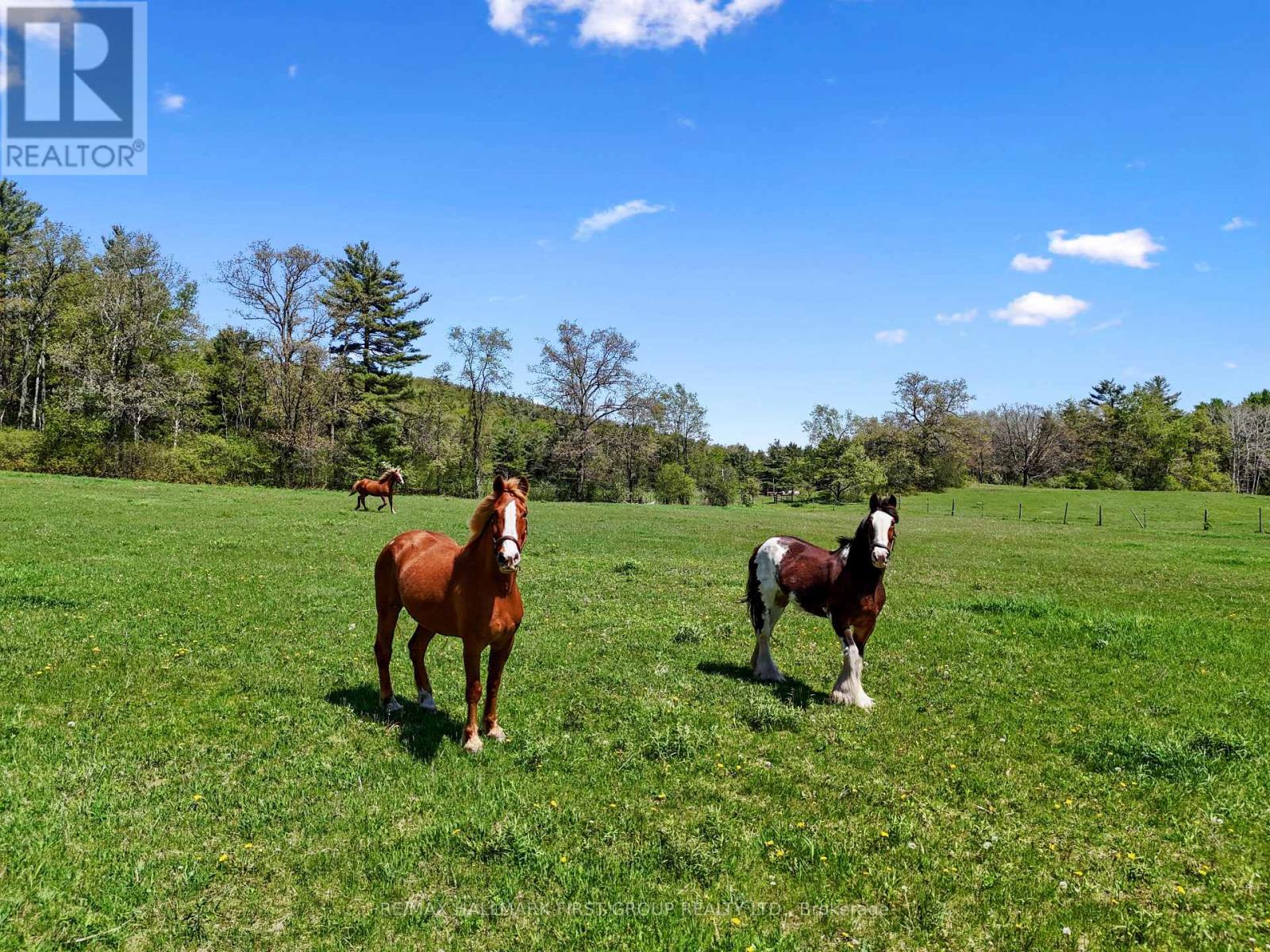 4566 Harwood Road, Hamilton Township, Ontario  K0K 1C0 - Photo 45 - X12787018