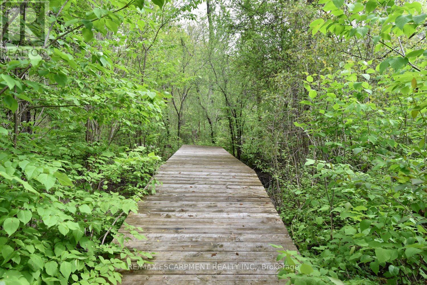 712 Robson Road, Hamilton, Ontario  L8B 1H1 - Photo 40 - X12787156