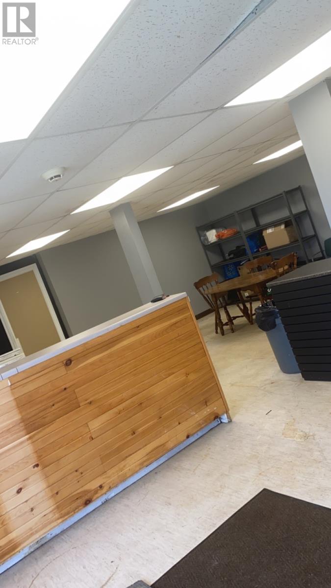 57 Blackler Avenue, St. John's, Newfoundland & Labrador  A1E 3E9 - Photo 16 - 1294559