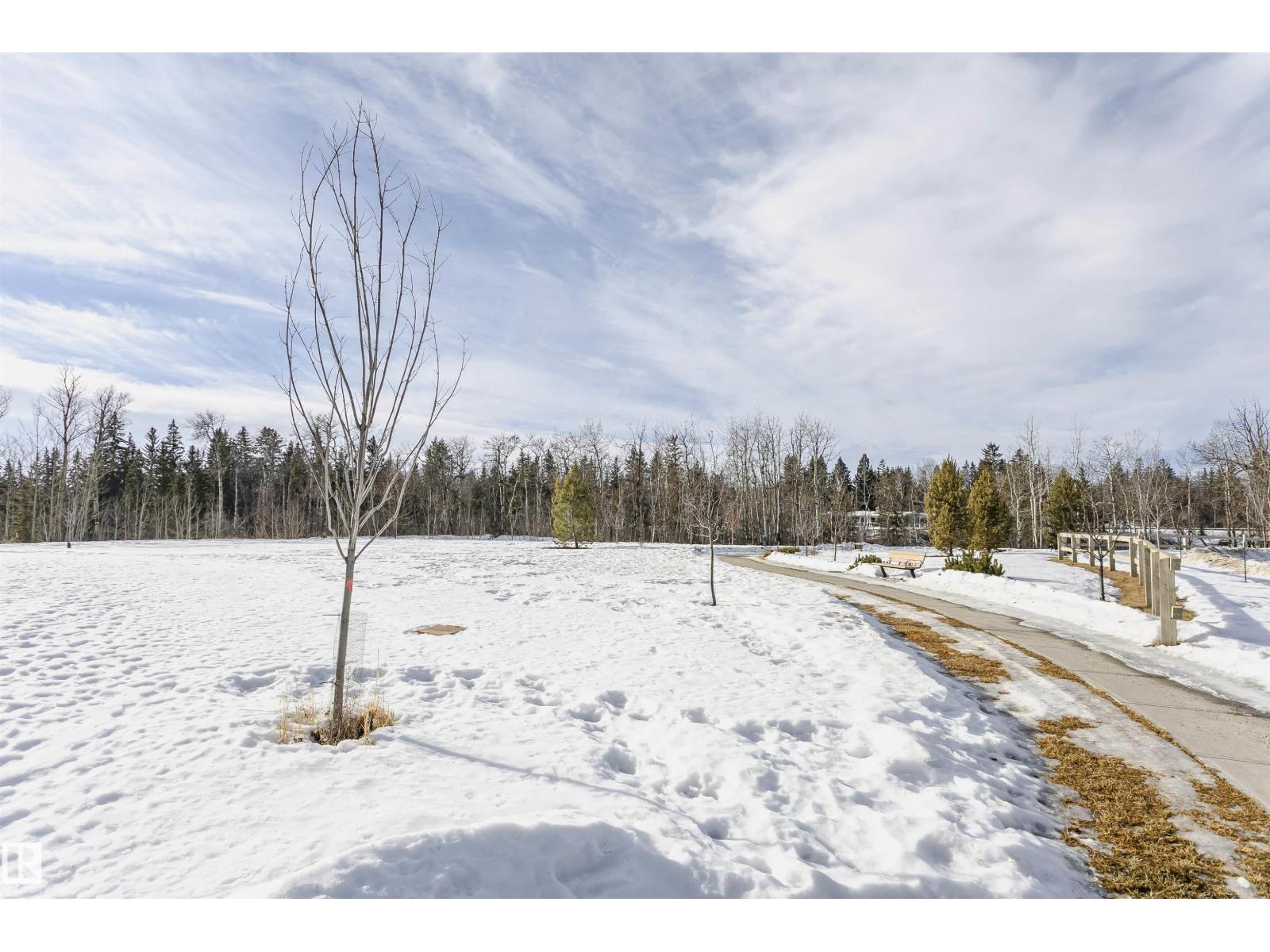 291 Edgemont Rd Nw, Edmonton, Alberta  T6M 0V5 - Photo 24 - E4472697