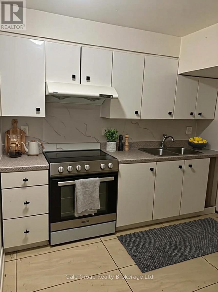 Lower - 338 Lansdowne Avenue, Woodstock, Ontario  N4T 1M8 - Photo 3 - X12787362