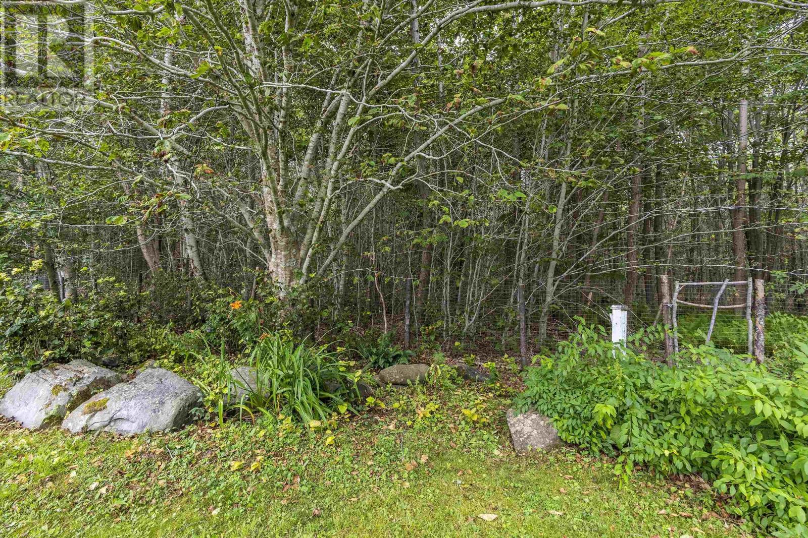 2282 Patrice Road, St. Joseph, Nova Scotia  B0W 1M0 - Photo 35 - 202529386