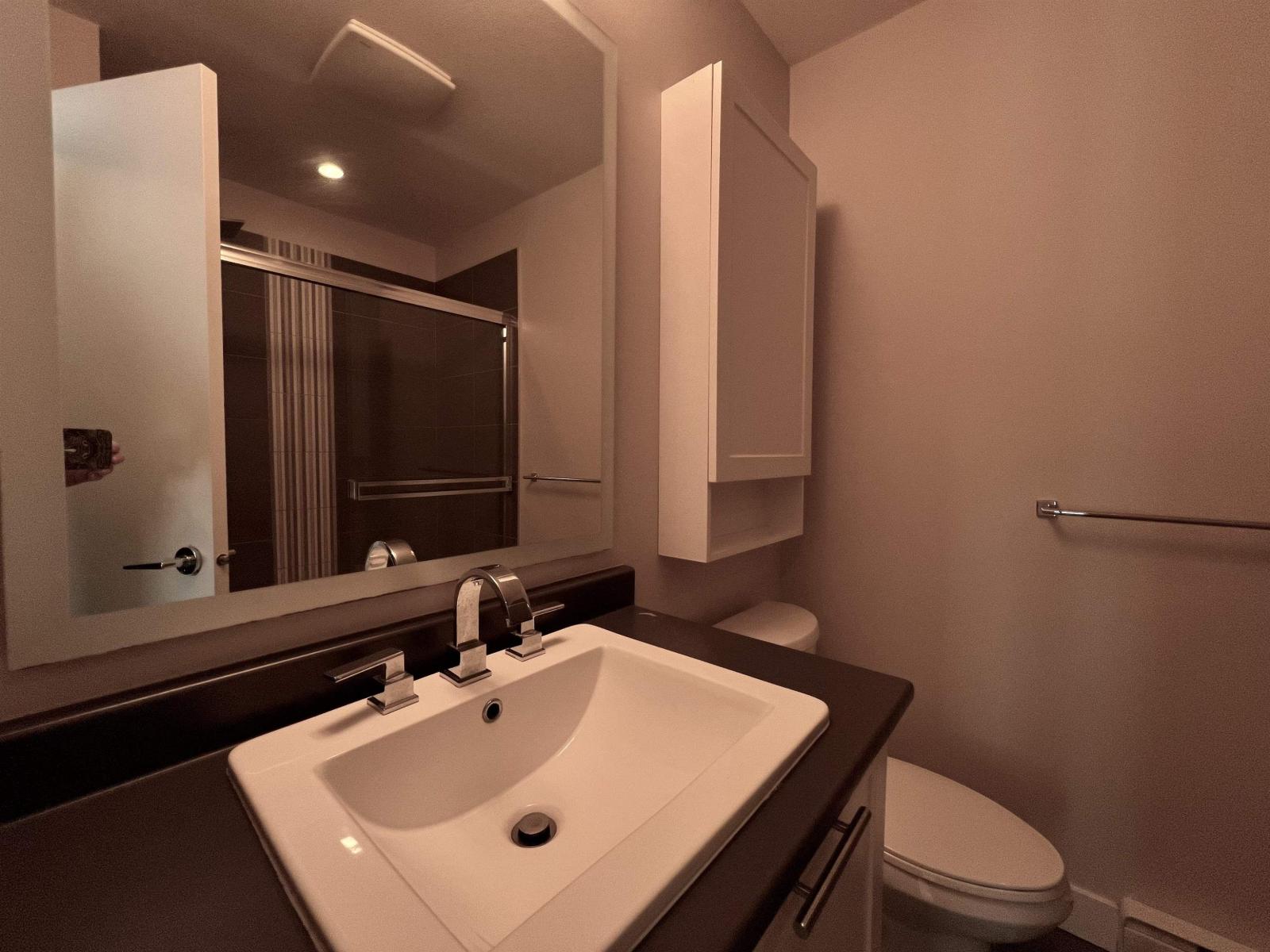 113 2228 162 Street, Surrey, British Columbia  V3Z 6P4 - Photo 14 - R3082526