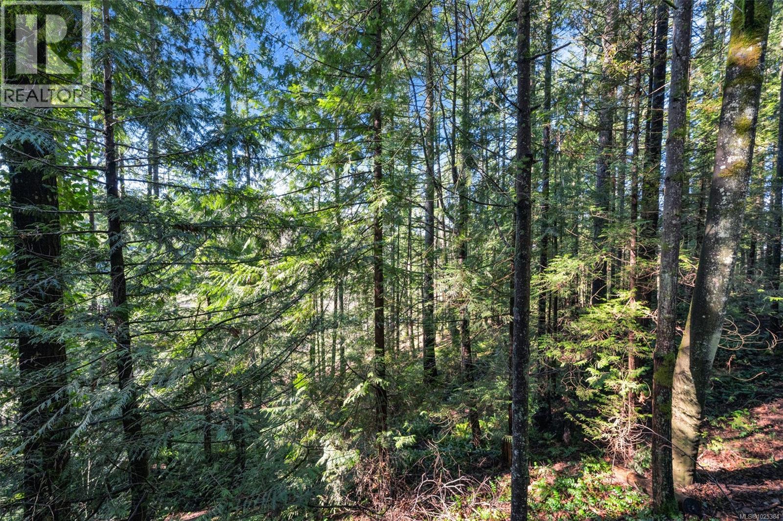 5086 Mclay Rd, Duncan, British Columbia  V9L 6S1 - Photo 78 - 1025384