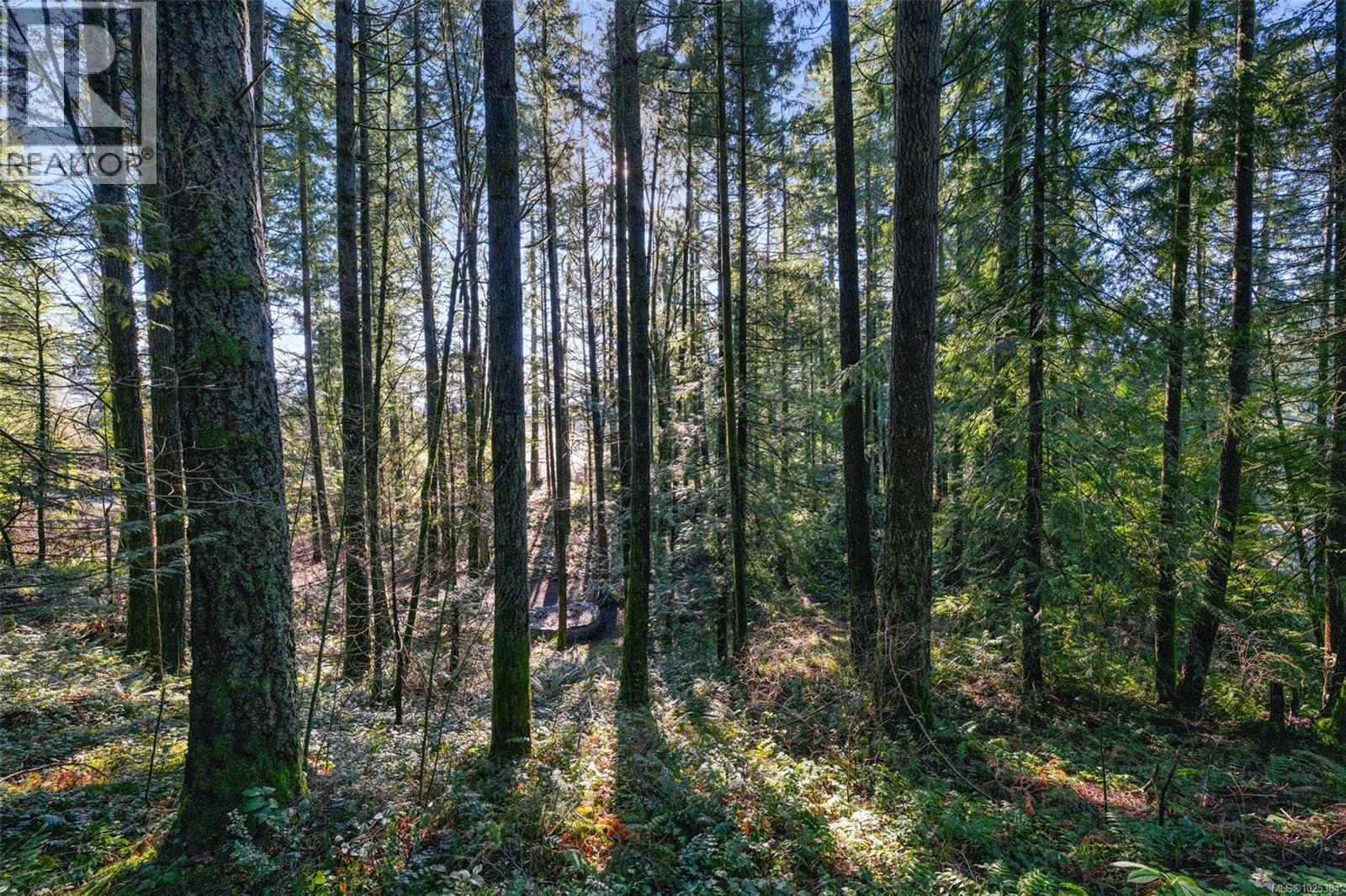 5086 Mclay Rd, Duncan, British Columbia  V9L 6S1 - Photo 73 - 1025384