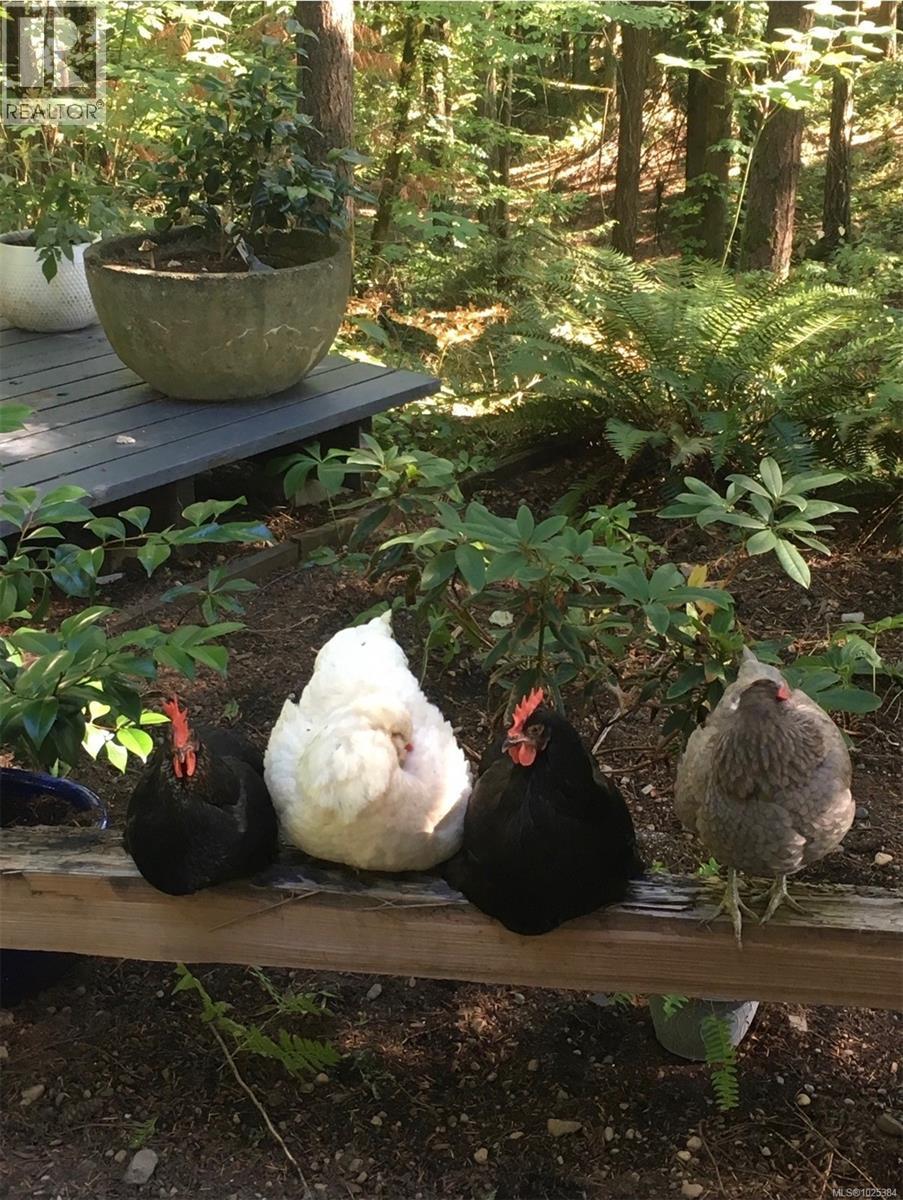 5086 Mclay Rd, Duncan, British Columbia  V9L 6S1 - Photo 92 - 1025384