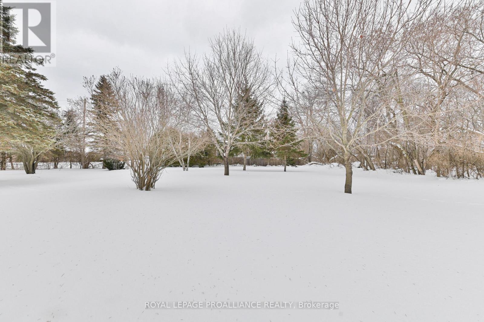 133 Ontario Street, Brighton, Ontario  K0K 1H0 - Photo 42 - X12787630