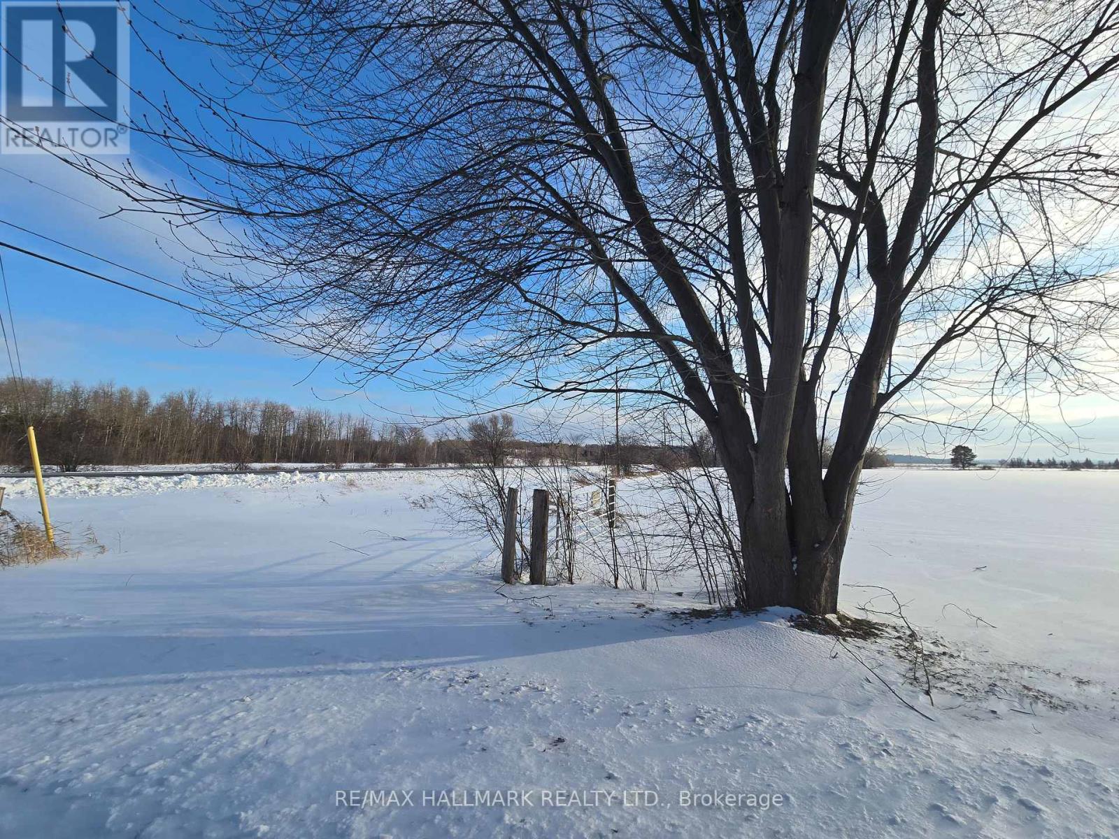 22156 Leslie Street, East Gwillimbury, Ontario  L0G 1R0 - Photo 4 - N12715792