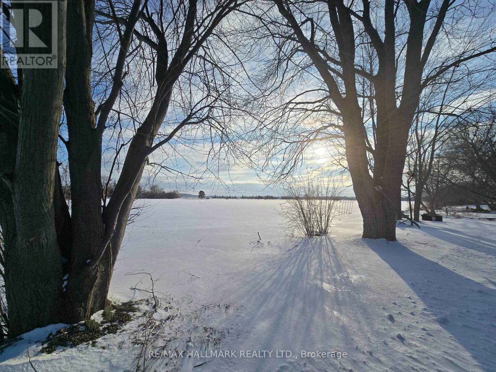 22156 Leslie Street, East Gwillimbury, Ontario  L0G 1R0 - Photo 6 - N12715792