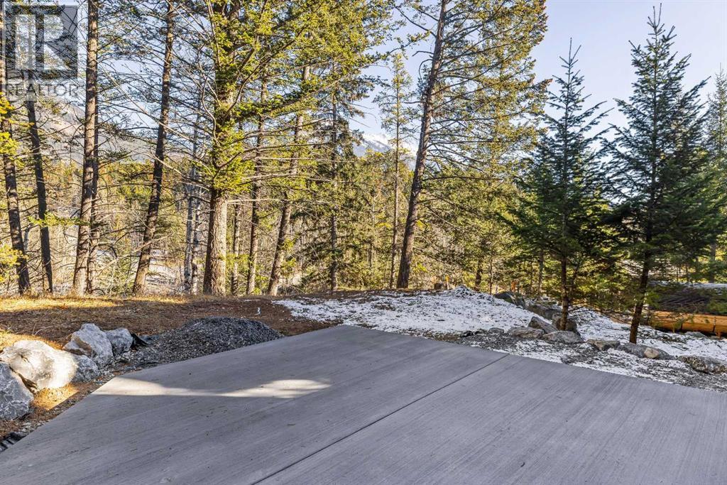 28 Blue Grouse Ridge, Canmore, Alberta  T1W 1L5 - Photo 8 - A2286331