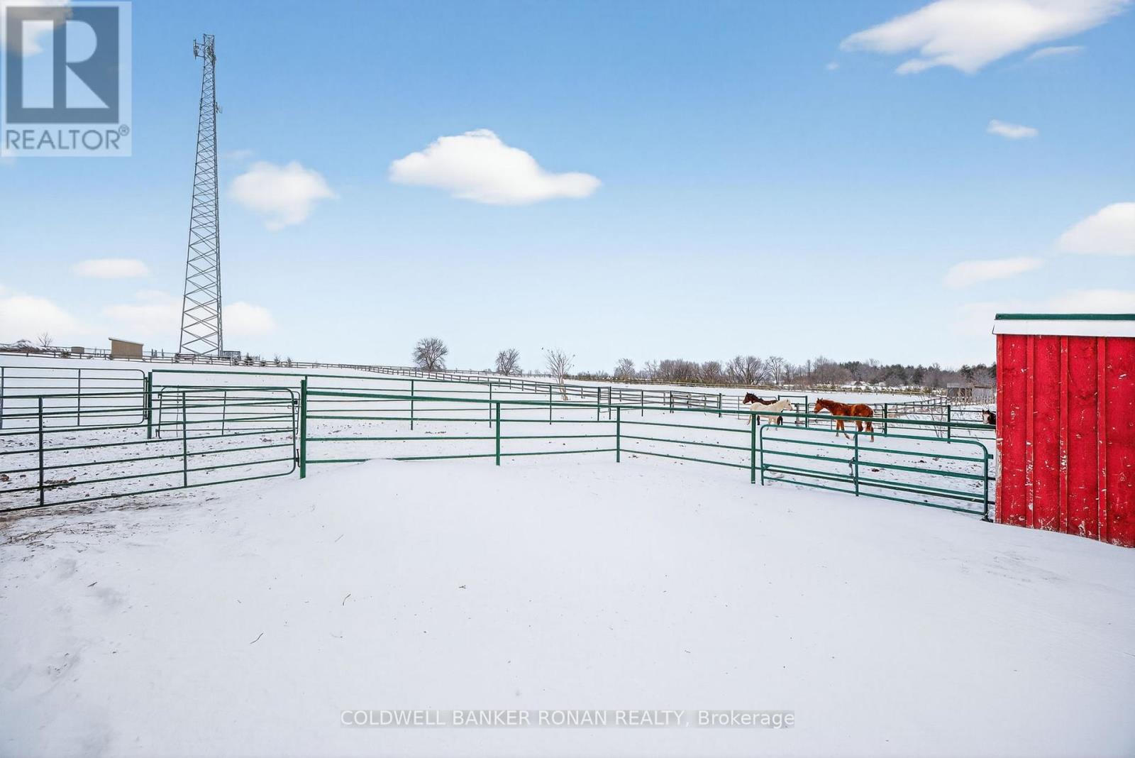 4886 15th Side Road, New Tecumseth, Ontario  L0L 1L0 - Photo 42 - N12787542