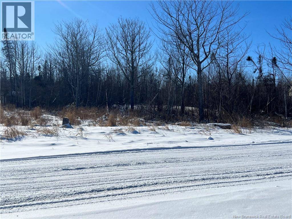 Lot Birch Crescent, Grand-Barachois, New Brunswick  E4P 7X3 - Photo 5 - NB133599