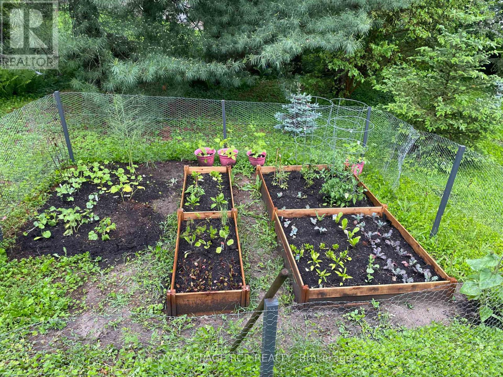 11 Hilltop Drive, Caledon, Ontario  L7C 1K7 - Photo 45 - W12787686