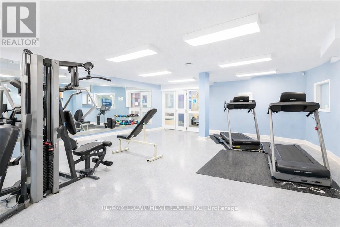 142 Silverbirch Avenue, Hamilton, Ontario  L0R 1W0 - Photo 29 - X12787612