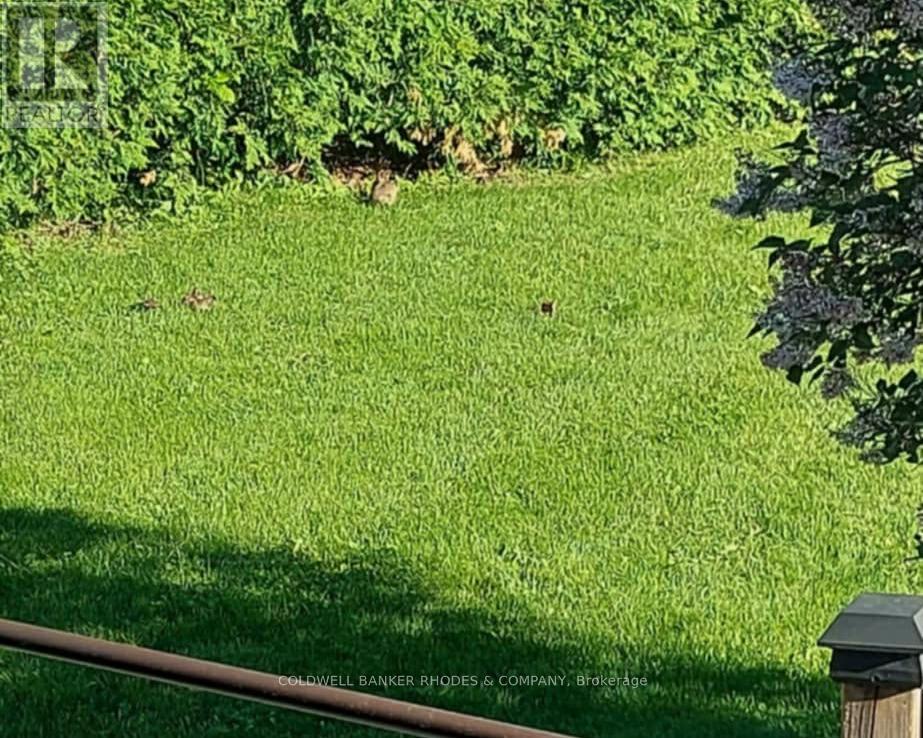 1947 Conrad Avenue, Ottawa, Ontario  K1H 6V7 - Photo 35 - X12760648