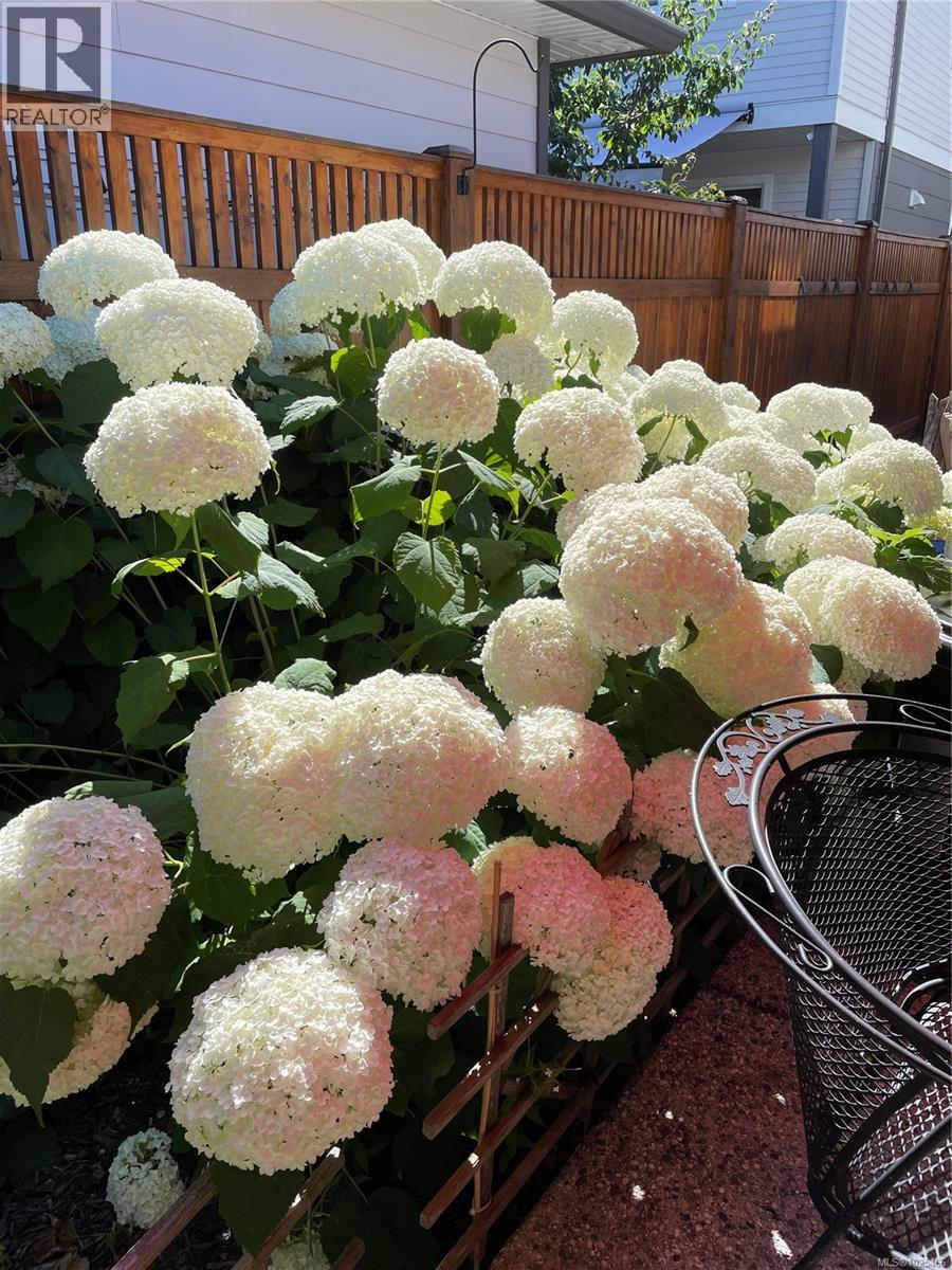 3327 Painter Rd, Colwood, British Columbia  V9C 2H7 - Photo 46 - 1025466