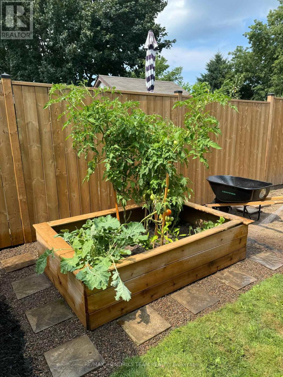 16 Haig Street, St. Catharines, Ontario  L2R 6K6 - Photo 34 - X12787756