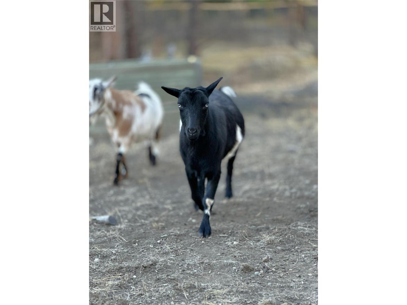 7502 Highway 95a, Kimberley, British Columbia V1A 3L4 - Photo 54 - 10375969