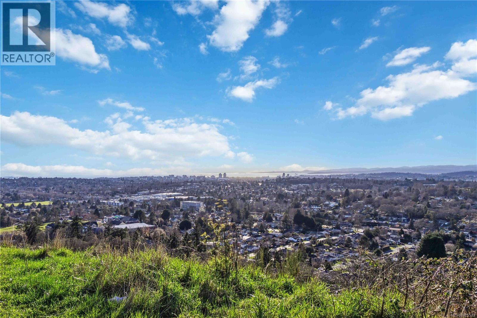 B 3002 Cedar Hill Rd, Victoria, British Columbia  V8T 3J3 - Photo 66 - 1025539