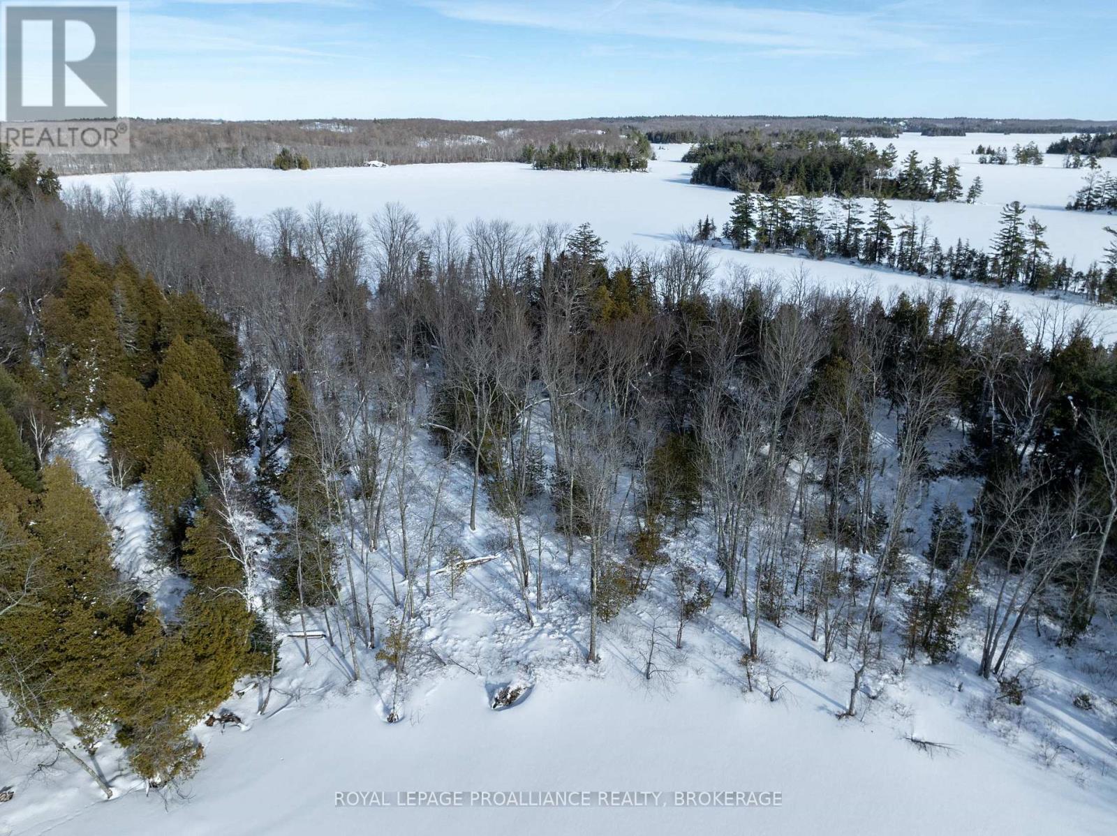 Pt Island B Gracey's Island, Frontenac (Frontenac Centre), Ontario  K0H 2P0 - Photo 13 - X12787966