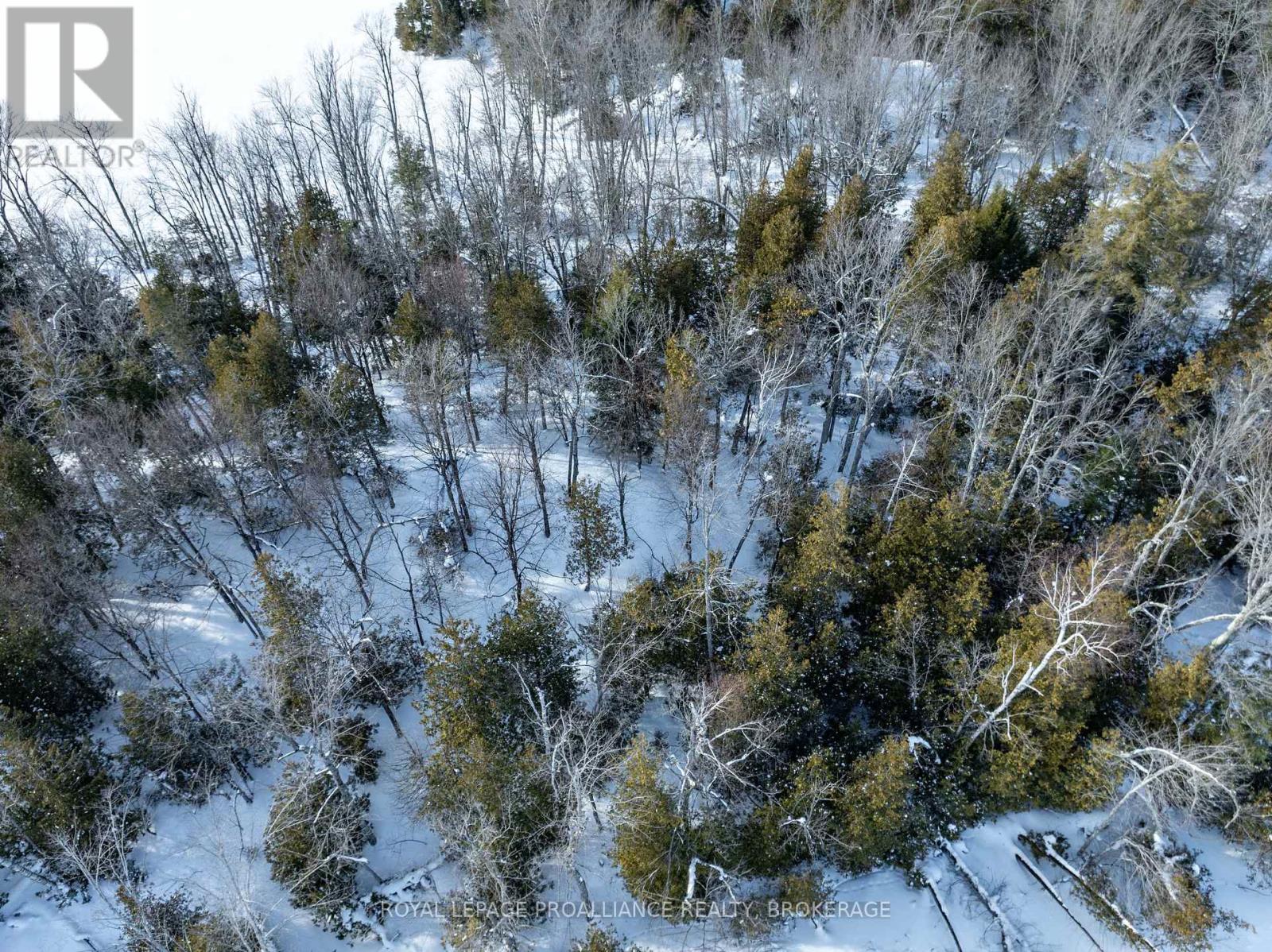 Pt Island B Gracey's Island, Frontenac (Frontenac Centre), Ontario  K0H 2P0 - Photo 14 - X12787966