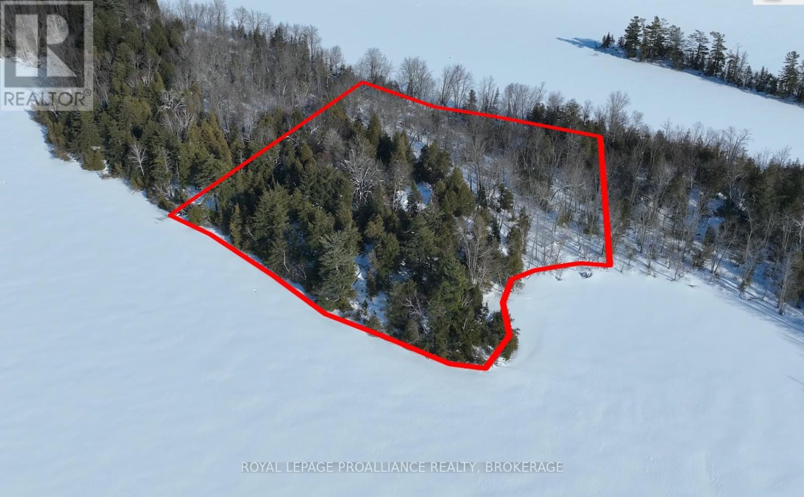 Pt Island B Gracey's Island, Frontenac (Frontenac Centre), Ontario  K0H 2P0 - Photo 17 - X12787966