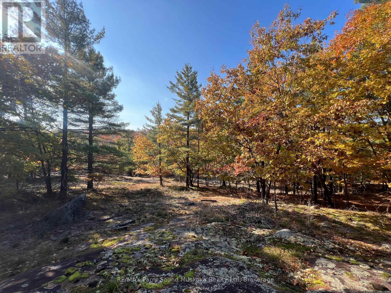 13 Ridgeway Drive, Carling, Ontario  P0G 1G0 - Photo 29 - X12788060