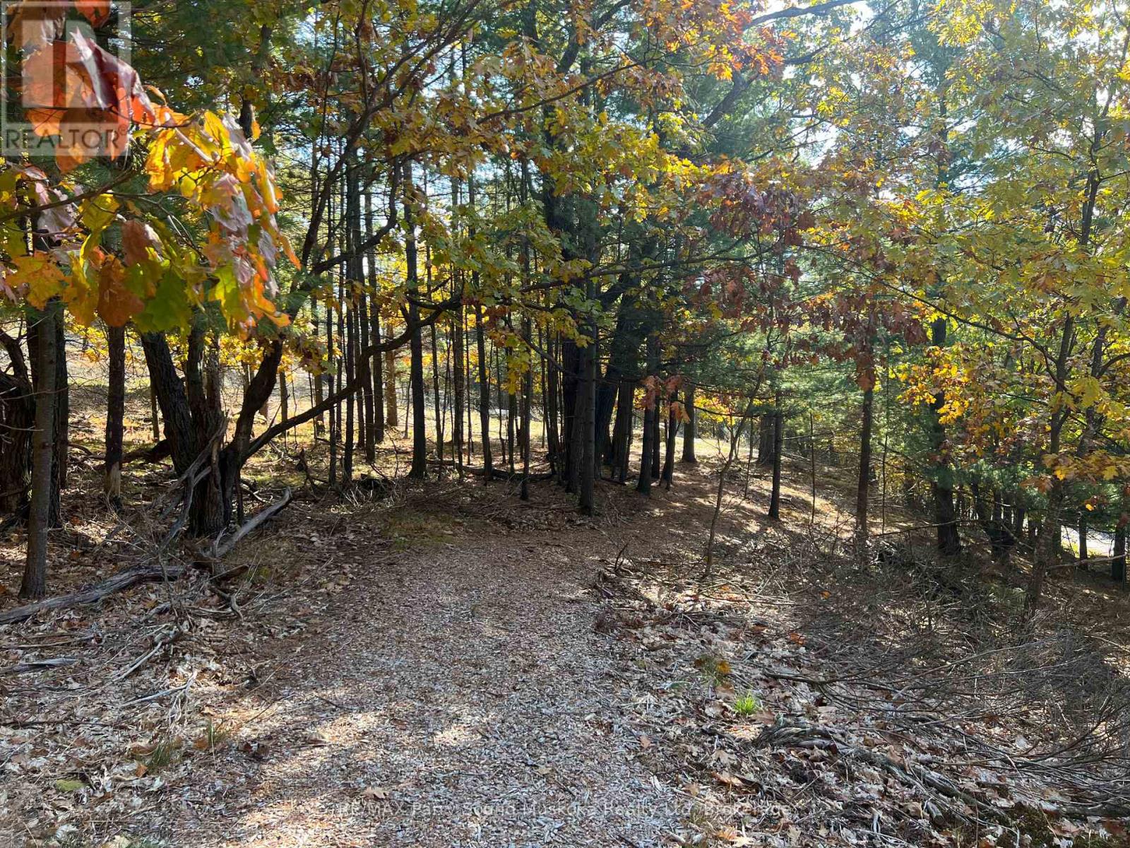 13 Ridgeway Drive, Carling, Ontario  P0G 1G0 - Photo 30 - X12788060