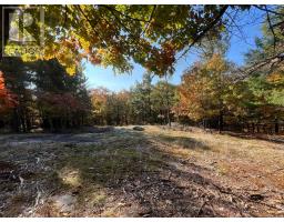 13 RIDGEWAY DRIVE, carling, Ontario