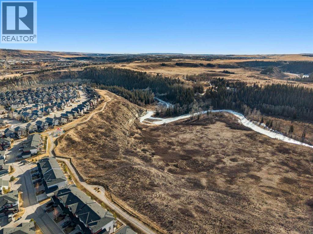 132 Bow Ridge Drive, Cochrane, Alberta  T4C 1V8 - Photo 41 - A2282061