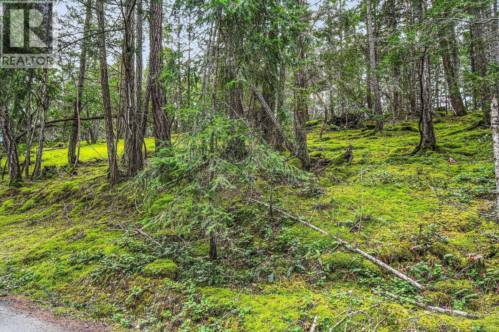 505 Cardale Rd, Decourcy Island, British Columbia  A1A 1A1 - Photo 10 - 1025998