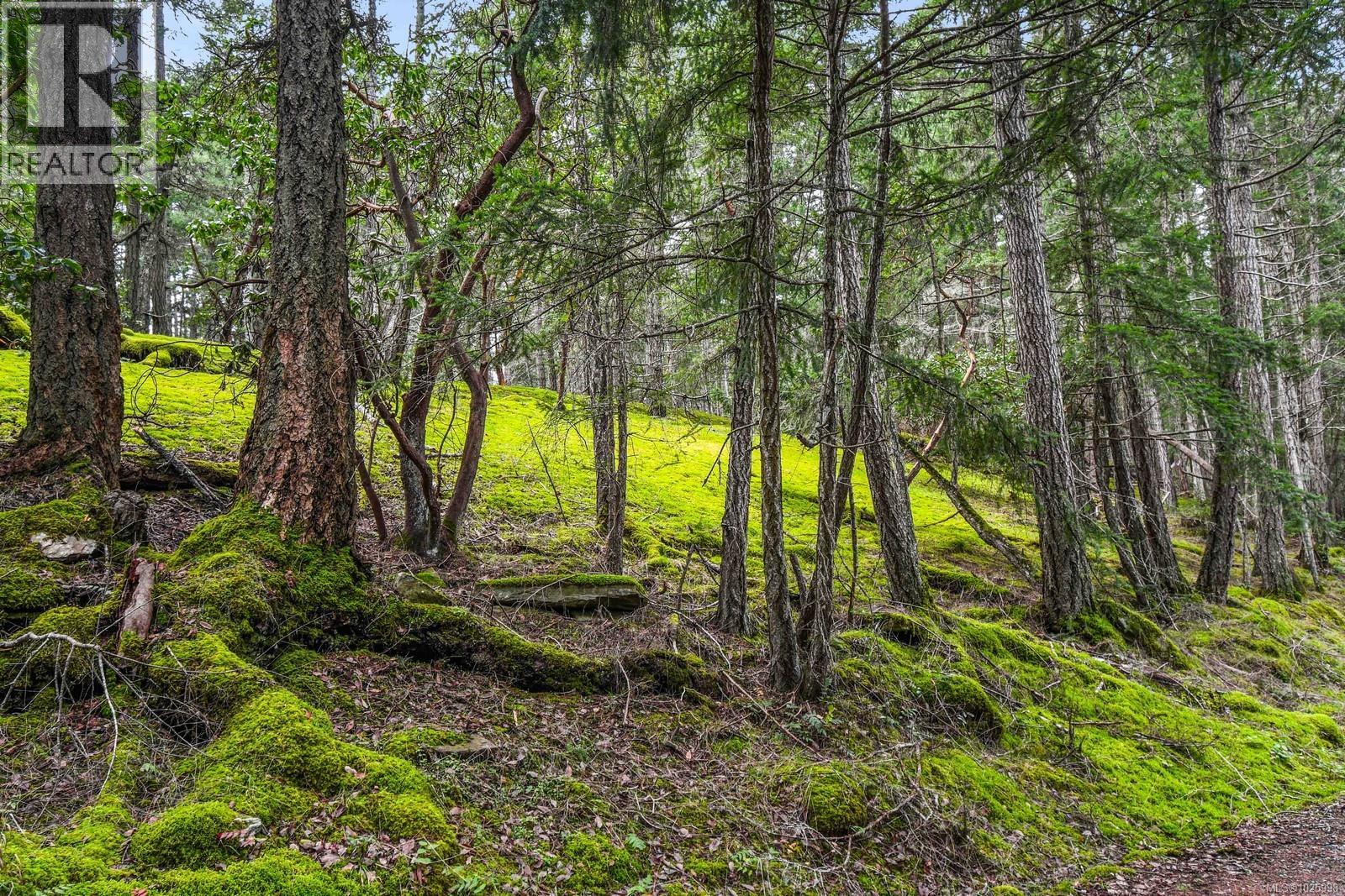 505 Cardale Rd, Decourcy Island, British Columbia  A1A 1A1 - Photo 11 - 1025998