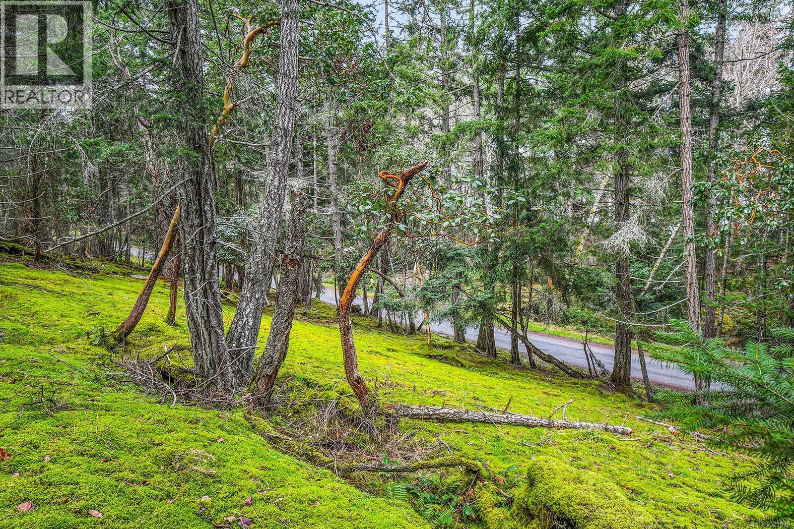 505 Cardale Rd, Decourcy Island, British Columbia  A1A 1A1 - Photo 12 - 1025998